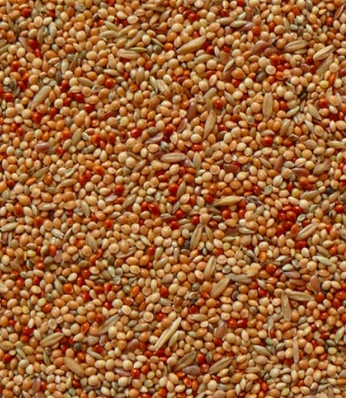 AVICENTRA - Andulka Classic menu 500 gr