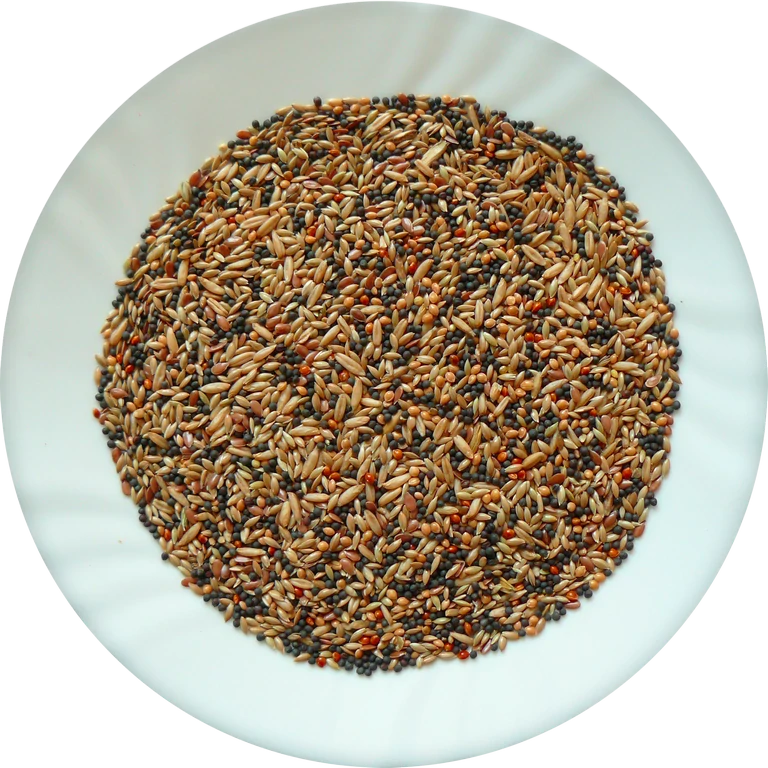 AVICENTRA - Kanár Classic menu 1 kg