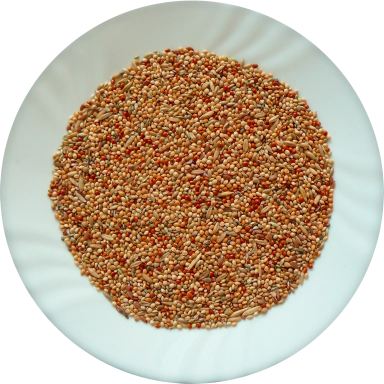 AVICENTRA - Proso žluté 25 kg