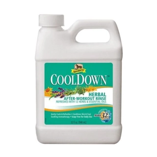 ABSORBINE - Cool down - Regenerační chladivá koupel po zátěži
