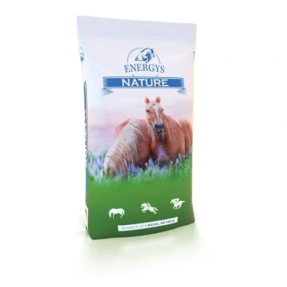 ENERGYS - Sladový květ - sypký