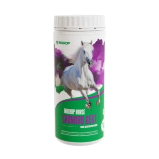 MIKROP Horse - Chondro best