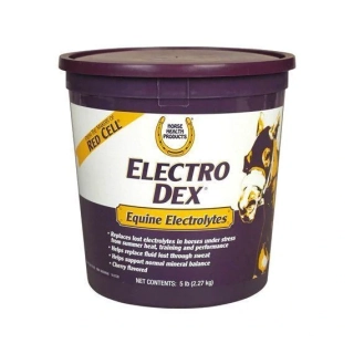 HORSE HEALTH PRODUCTS - Electro dex - Krmný doplněk pro koně