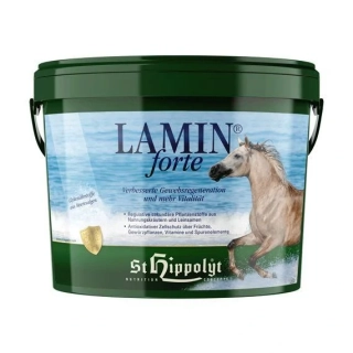 ST HIPPOLYT - Lamin Forte