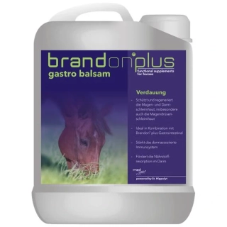 BRANDON Plus - Gastro balsam