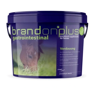 BRANDON Plus - Gastrointestinal