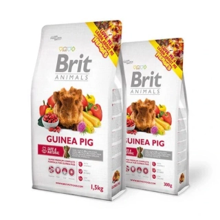 BRIT Animals - Guinea Pig Complete