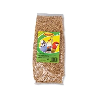AVICENTRA - Oves nahý