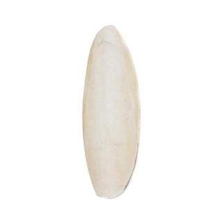 Sépiová kost pro ptáky - 15 cm (balení 15ks)